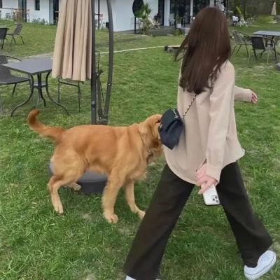 顶级生活 第一季